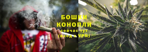 бошки Алексин