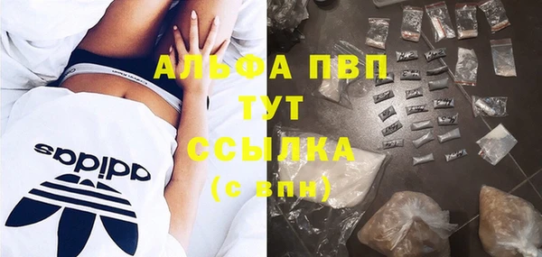 винт Алзамай