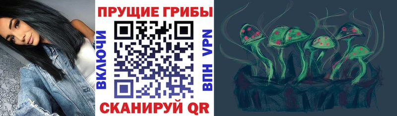 Псилоцибиновые грибы Psilocybine cubensis  Кораблино 